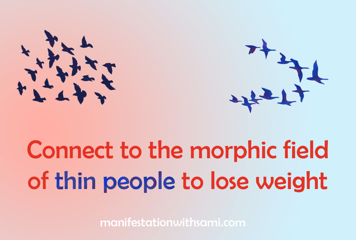 Connect to the morphic field of thin people if you want to lose weight.