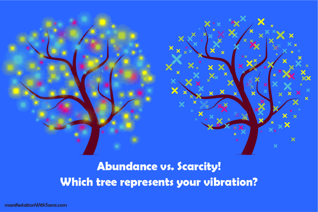 Flourishing Abundance vs. Limited Growth - Reflecting on Your Vibrational Energy.